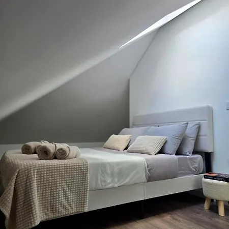 Apartament Domus Viriato