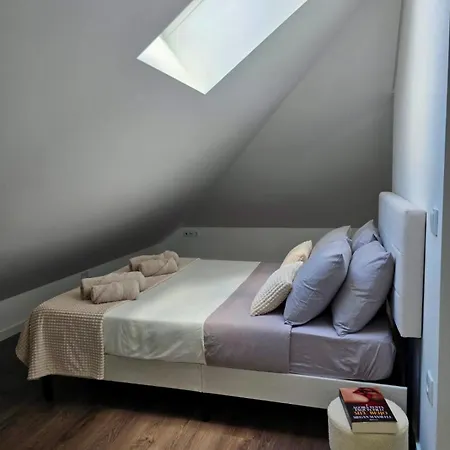 Domus Viriato