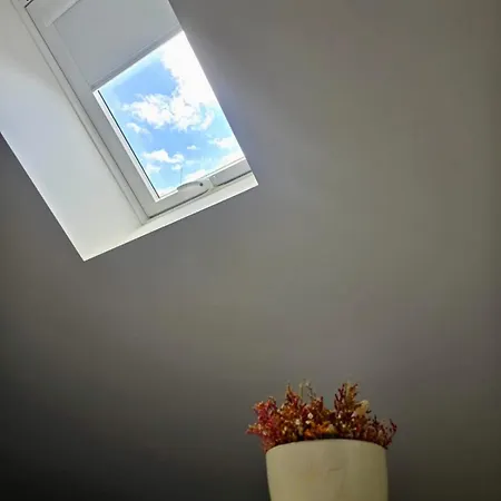 Domus Viriato *