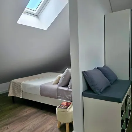 Apartament Domus Viriato Viseu